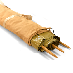 رواق