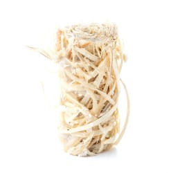 شبة نور